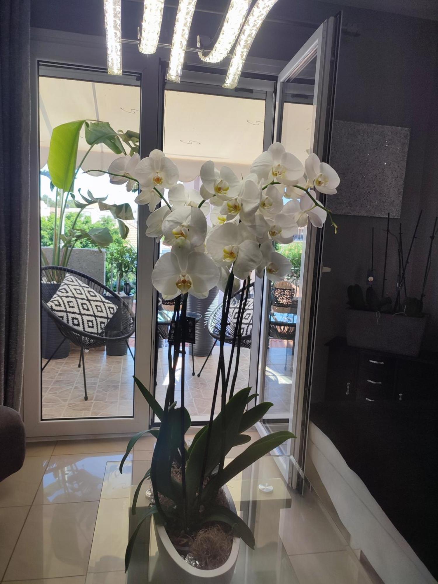 Diamond City Lux Apartment Argostoli  Exteriér fotografie